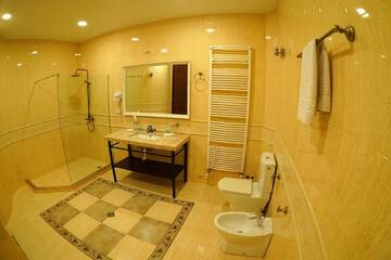 Фото номера Полулюкс с балконом Отель Hotel Flower г. Тбилиси 6