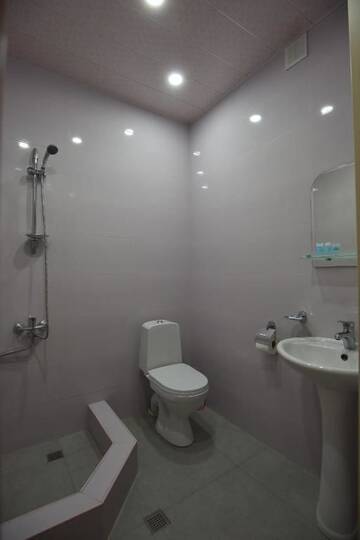 Фото номера Бюджетный одноместный номер Отель Hotel Vake Palace г. Тбилиси 9
