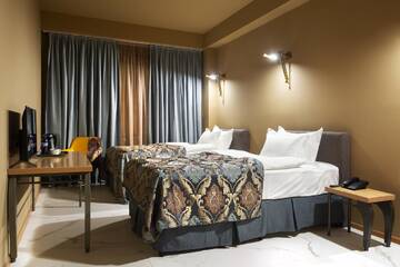 Фото номера Двухместный номер с 2 отдельными кроватями Отель Brim Hotel г. Тбилиси 4