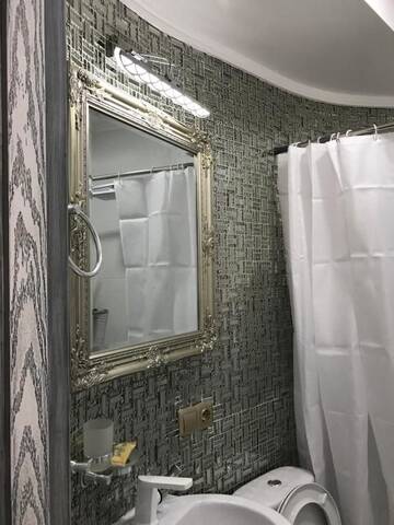 Фото номера Двухместный номер с 1 кроватью Отель Silver 34 Boutique г. Тбилиси 8