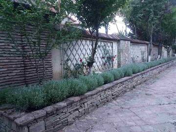 Фото номера Дом для отпуска Виллы RARE house with garden г. Тбилиси 51