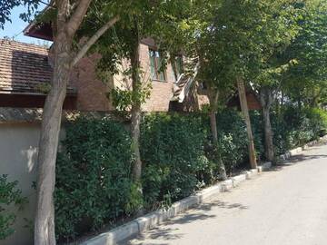 Фото номера Дом для отпуска Виллы RARE house with garden г. Тбилиси 12