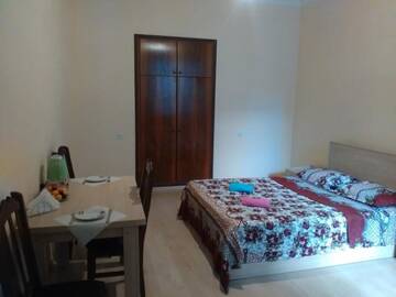 Фото номера Бюджетный двухместный номер с 1 кроватью Гостевой дом Green way Guest house г. Тбилиси 7