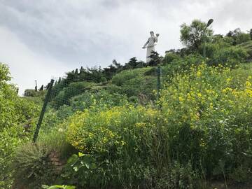 Фото номера Четырехместный номер с общей ванной комнатой Гостевой дом Betlem House Tbilisi г. Тбилиси 40