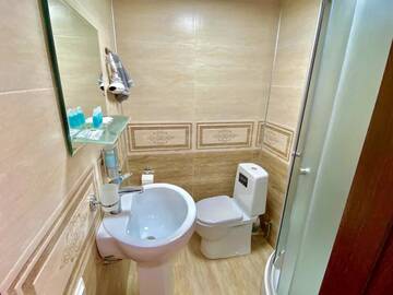 Фото номера Классический трехместный номер Отель hotel terrace г. Тбилиси 9