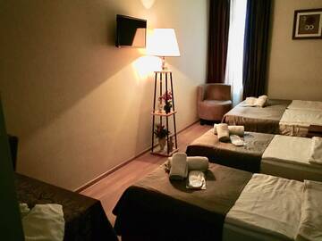 Фото номера Четырехместный номер &quot;Комфорт&quot; Отель hotel terrace г. Тбилиси 8