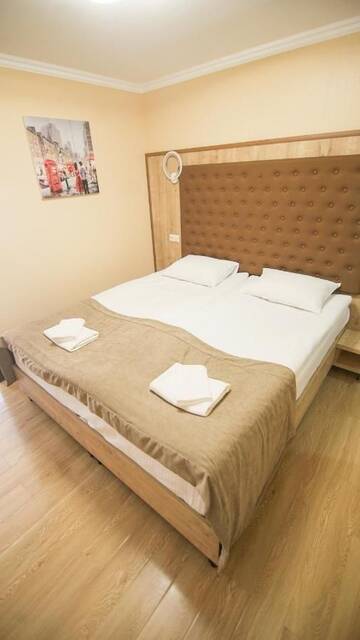 Фото номера Двухместный номер Делюкс с 1 кроватью Мини-отель Hotel Juralius г. Тбилиси 12