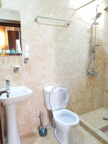 Фото номера Двухместный номер с 1 кроватью и террасой Отель Gold Line Hotel г. Тбилиси 4