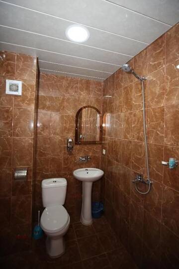 Фото номера Двухместный номер с 1 кроватью и собственной ванной комнатой Отель Hotel Atu г. Тбилиси 2
