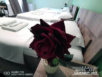 Фото номера Cемейный номер с собственной ванной комнатой Отель Hotel Atu г. Тбилиси 5