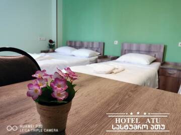 Фото номера Cемейный номер с собственной ванной комнатой Отель Hotel Atu г. Тбилиси 6