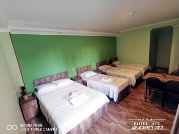 Фото номера Cемейный номер с собственной ванной комнатой Отель Hotel Atu г. Тбилиси 7
