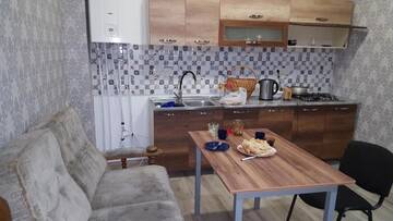 Фото номера Большой двухместный номер с 1 кроватью Гостевой дом Guest house rosh г. Тбилиси 30