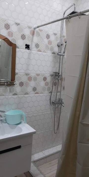Фото номера Большой двухместный номер с 1 кроватью Гостевой дом Guest house rosh г. Тбилиси 41
