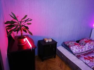 Фото номера Двухместный номер Делюкс с 1 кроватью (для 2 взрослых и 1 ребенка) Гостевой дом Roll г. Тбилиси 5