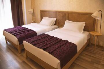 Фото номера Стандартный двухместный номер с 2 отдельными кроватями Отель Ornament Boutique Hotel г. Тбилиси 3