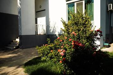 Фото номера Вилла Делюкс Виллы Vila tbilisi central г. Тбилиси 8