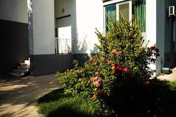 Фото номера Вилла Делюкс Виллы Vila tbilisi central г. Тбилиси 50