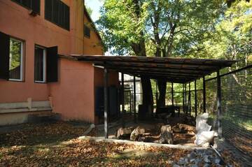 Фото номера Вилла Виллы Villa in Tskhvarichamia г. Тбилиси 57